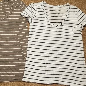 Striped Caslon t